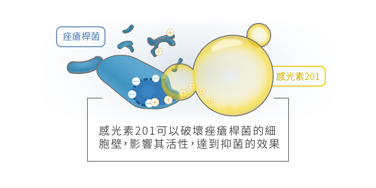 感光素201 抗菌原理