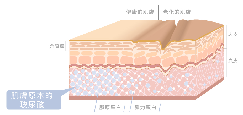 玻尿酸如何保濕