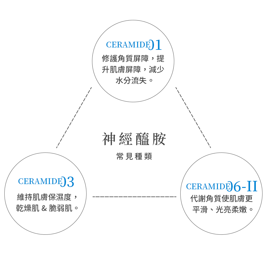 神經醯胺(Ceramide)