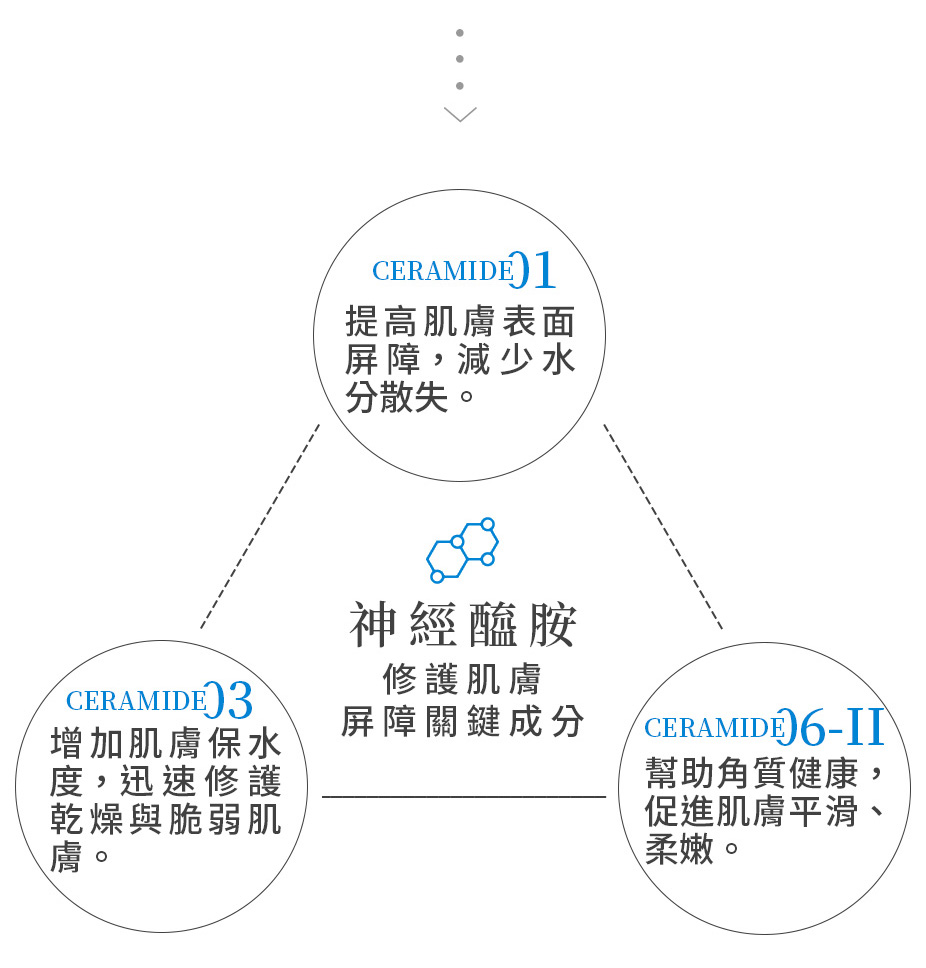 簡單保養B5修護乳