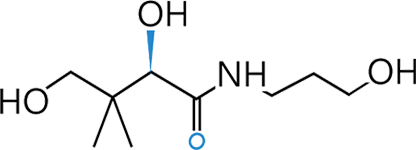 神經醯胺(Ceramide)